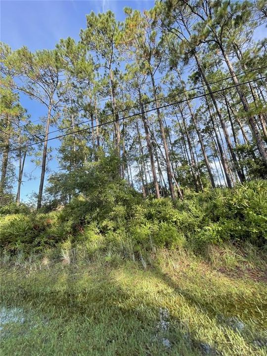 Recently Sold: $85,000 (0.24 acres)