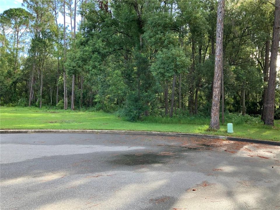 待售: $109,000 (1.30 acres)