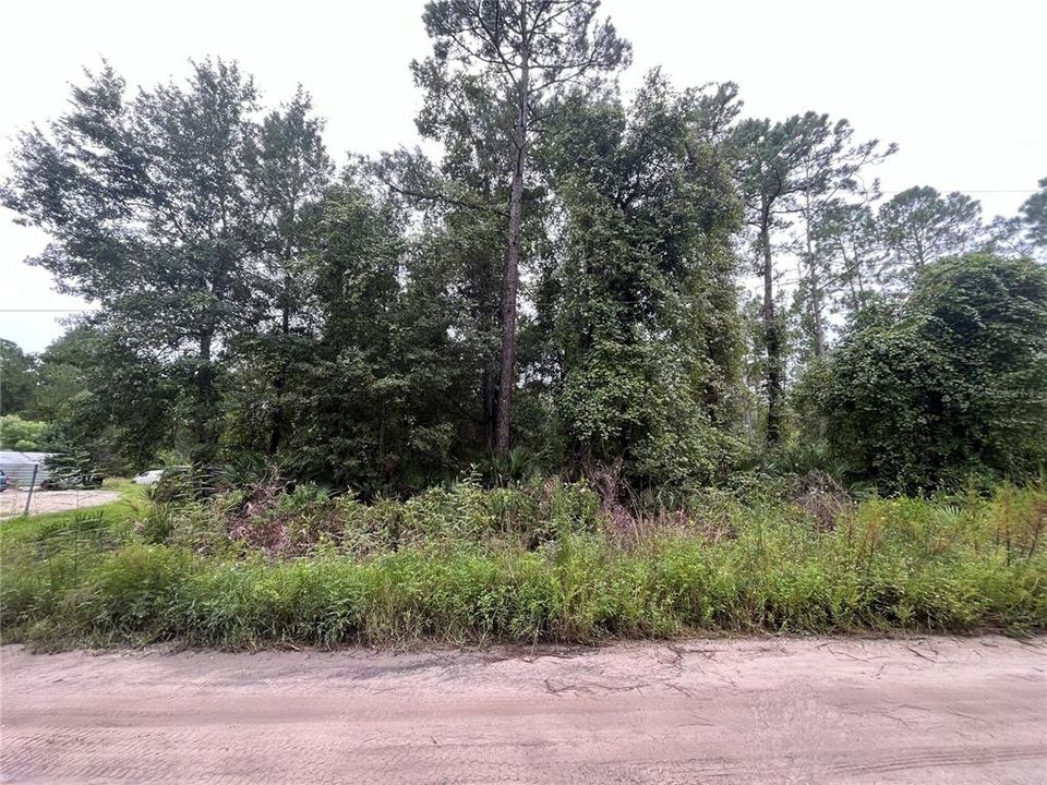 待售: $8,800 (0.28 acres)