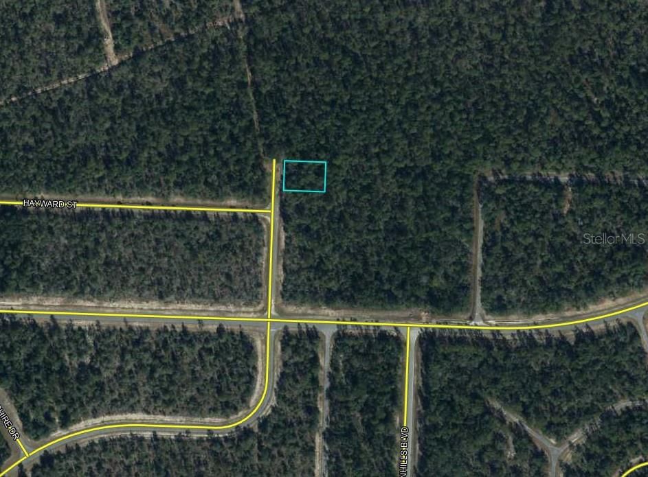 For Sale: $5,000 (0.26 acres)