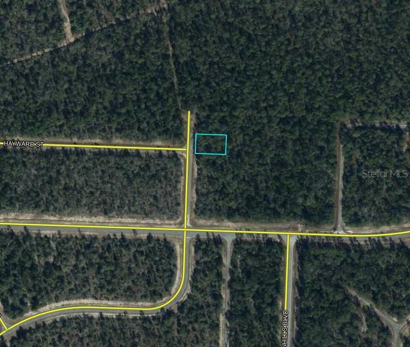 For Sale: $5,000 (0.23 acres)