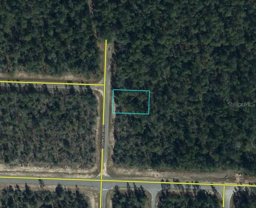 For Sale: $5,000 (0.23 acres)