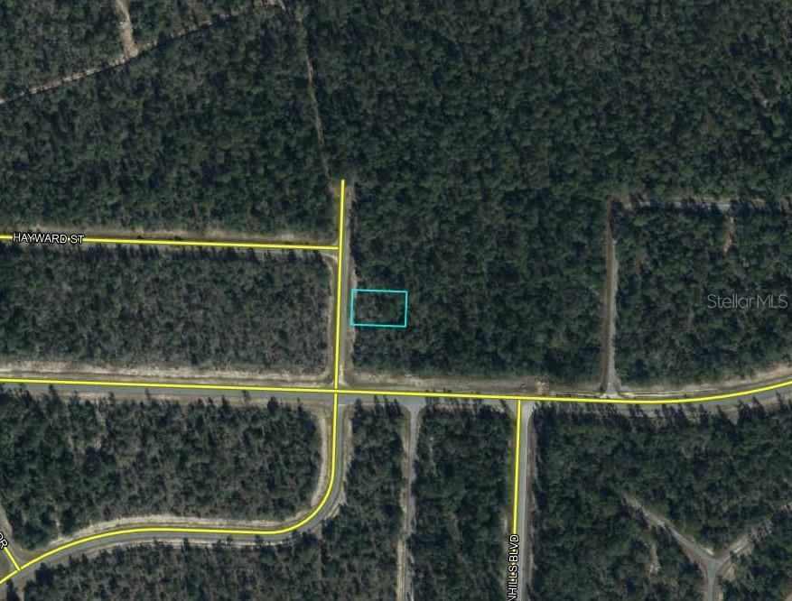 For Sale: $5,000 (0.23 acres)