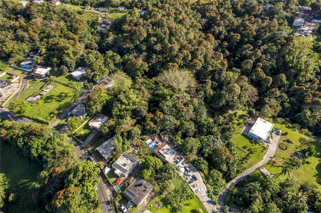 待售: $260,000 (4 贝兹, 2 浴室, 1164 平方英尺)