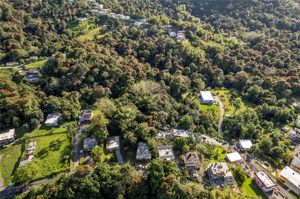 待售: $260,000 (4 贝兹, 2 浴室, 1164 平方英尺)