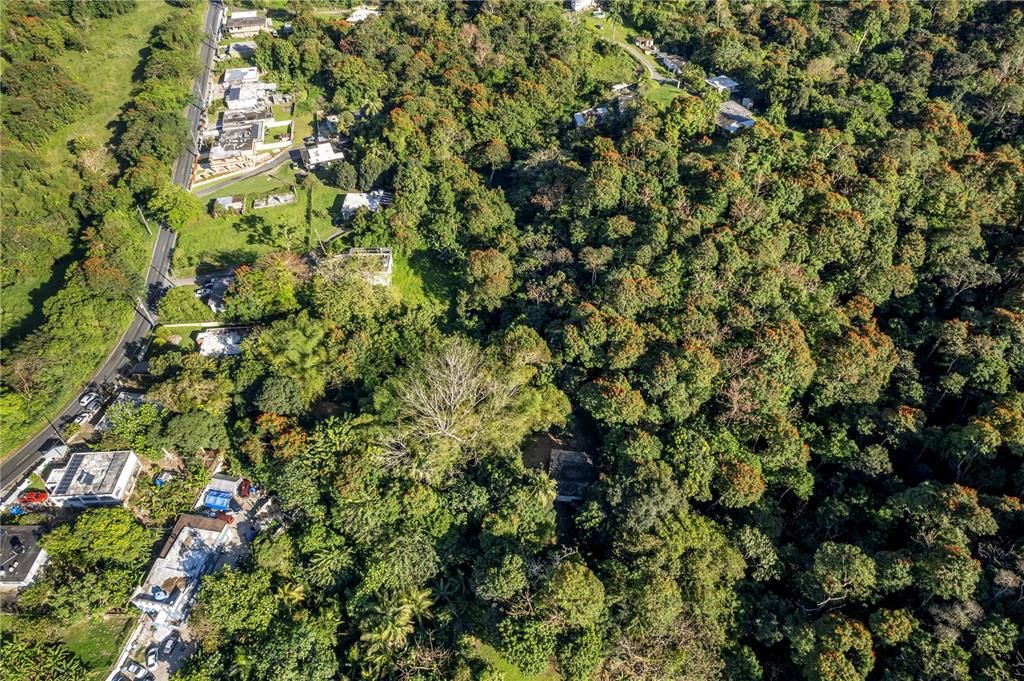 待售: $260,000 (4 贝兹, 2 浴室, 1164 平方英尺)