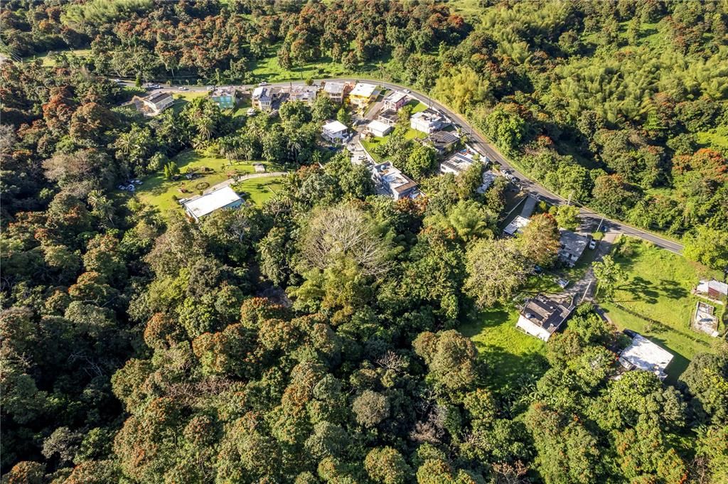 待售: $260,000 (4 贝兹, 2 浴室, 1164 平方英尺)