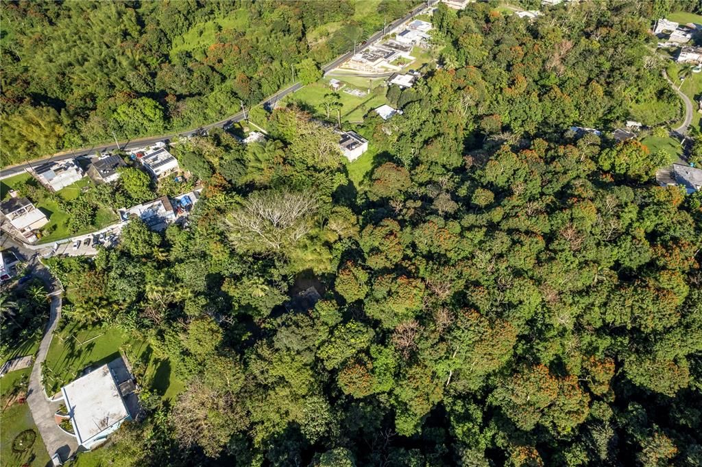 待售: $260,000 (4 贝兹, 2 浴室, 1164 平方英尺)