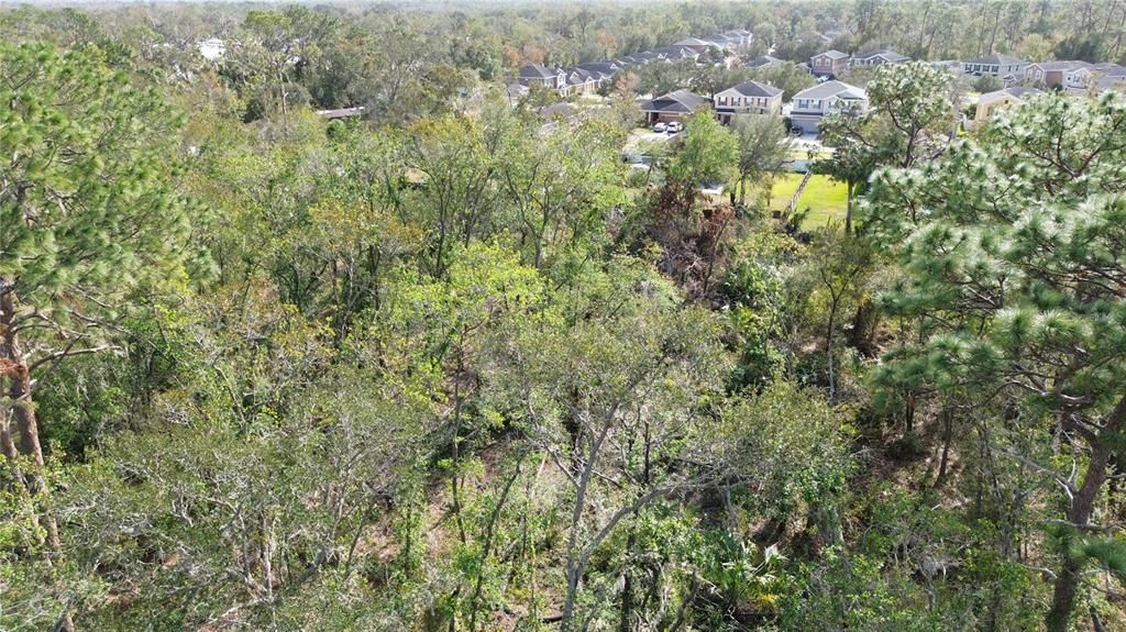 На продажу: $240,000 (1.68 acres)