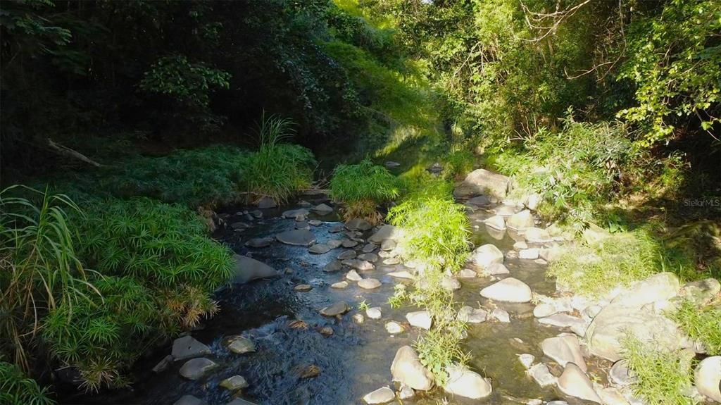 На продажу: $150,000 (1.72 acres)