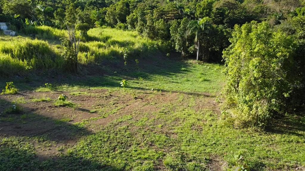 На продажу: $150,000 (1.72 acres)