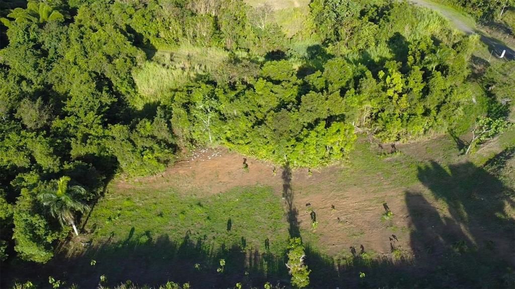 На продажу: $150,000 (1.72 acres)