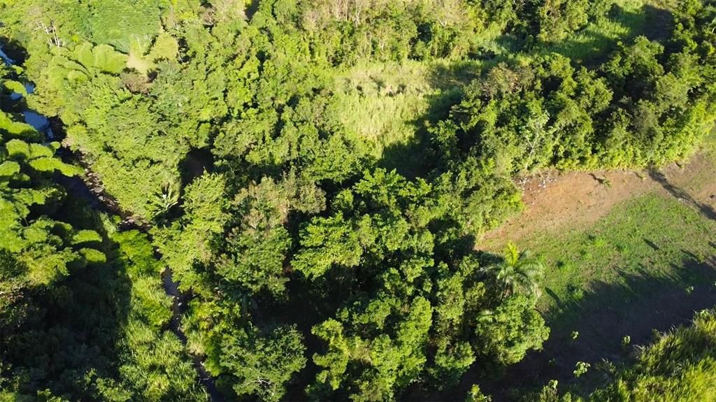 На продажу: $150,000 (1.72 acres)