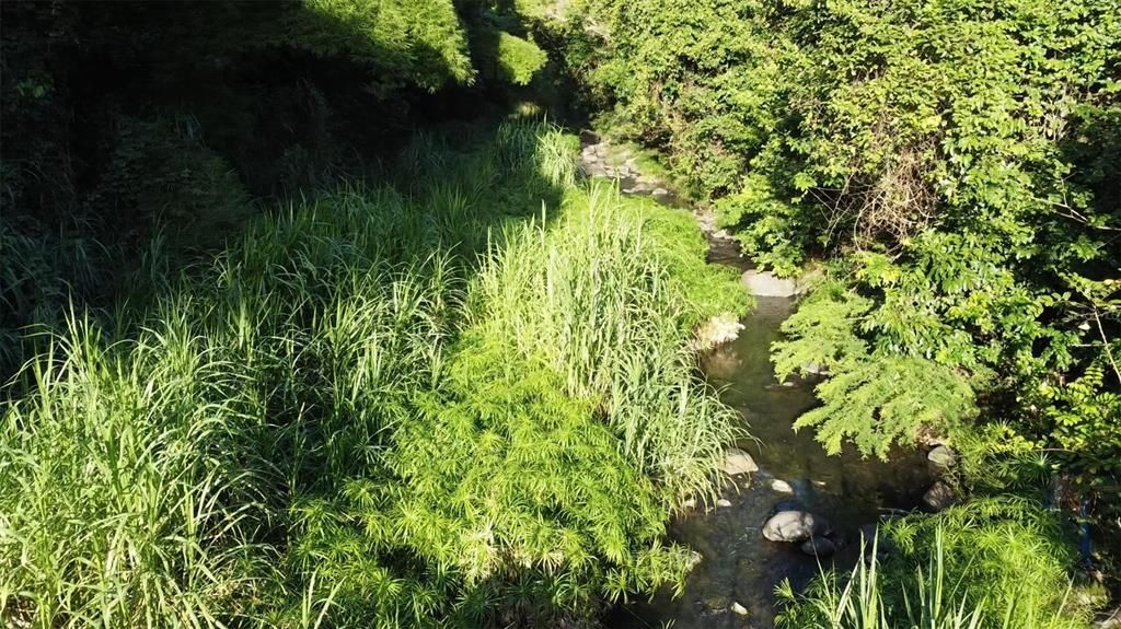 На продажу: $150,000 (1.72 acres)