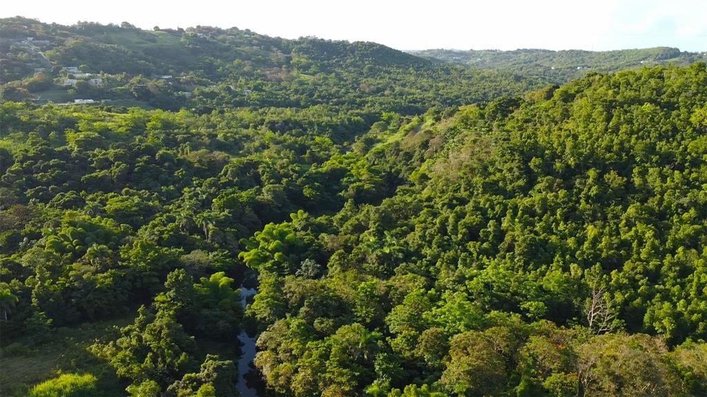 En Venta: $150,000 (1.72 acres)