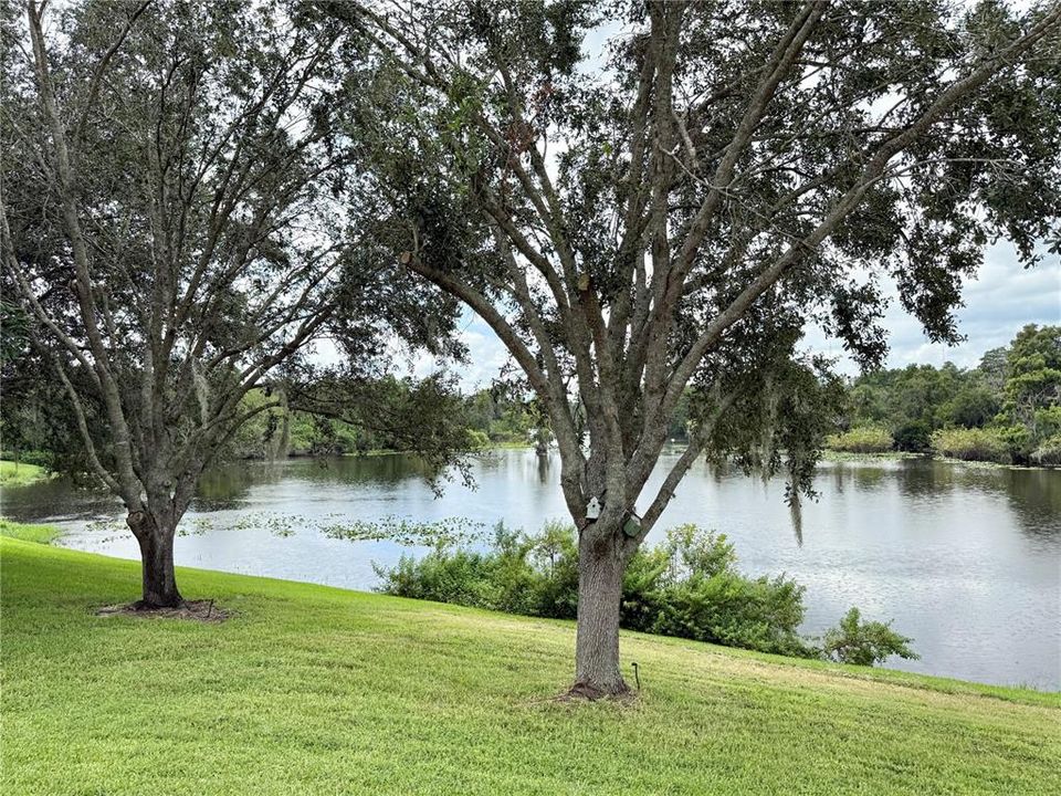 For Sale: $950,000 (3 beds, 3 baths, 3401 Square Feet)