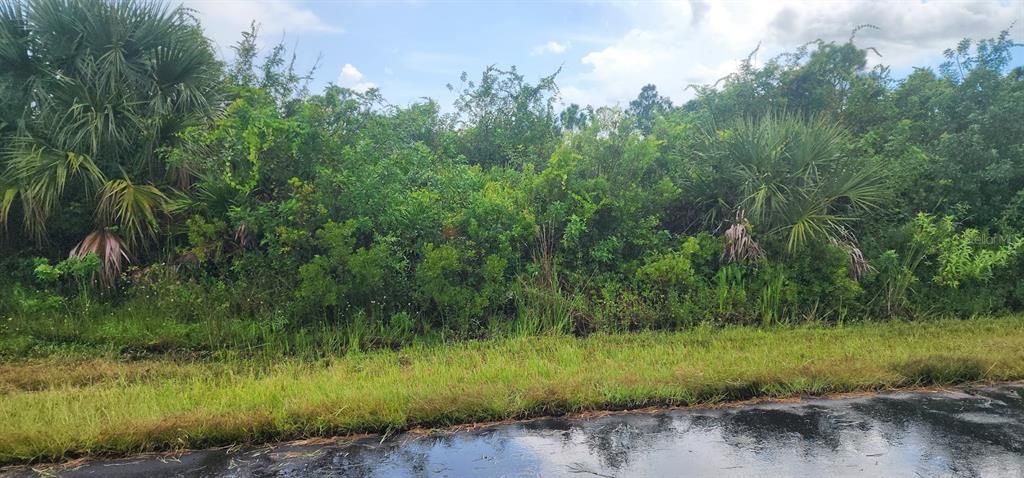 For Sale: $21,000 (0.23 acres)