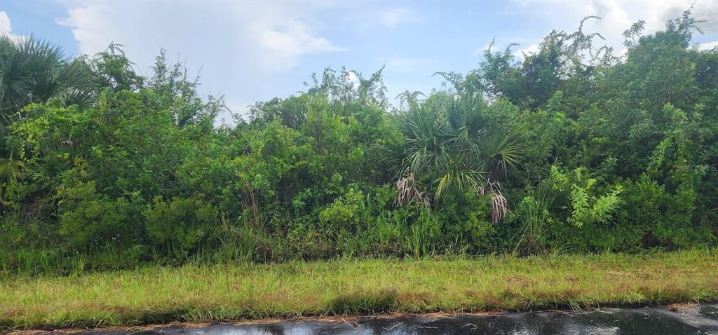 For Sale: $21,000 (0.23 acres)