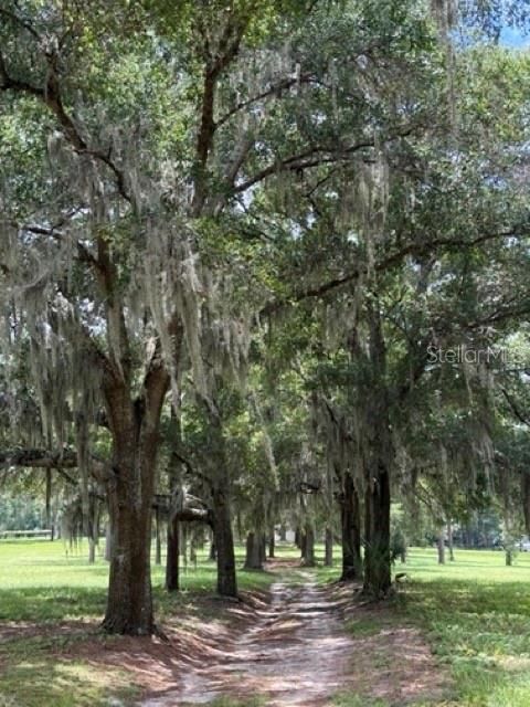 待售: $775,000 (4 贝兹, 2 浴室, 1829 平方英尺)