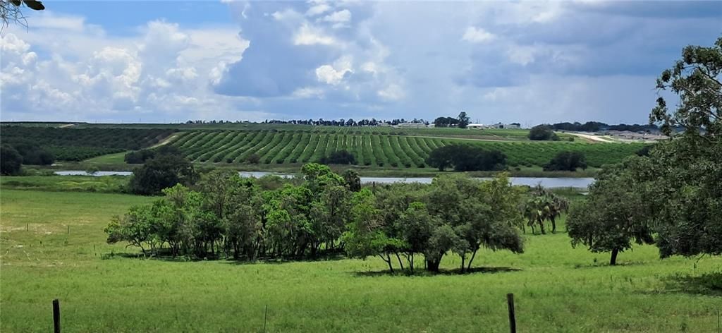 待售: $675,000 (3 贝兹, 3 浴室, 3452 平方英尺)