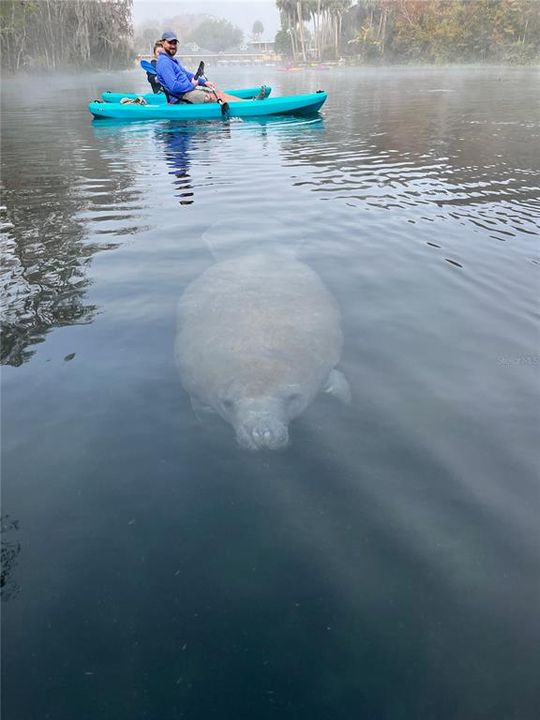 En Venta: $52,900 (0.07 acres)