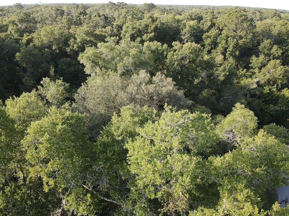 На продажу: $32,000 (0.34 acres)