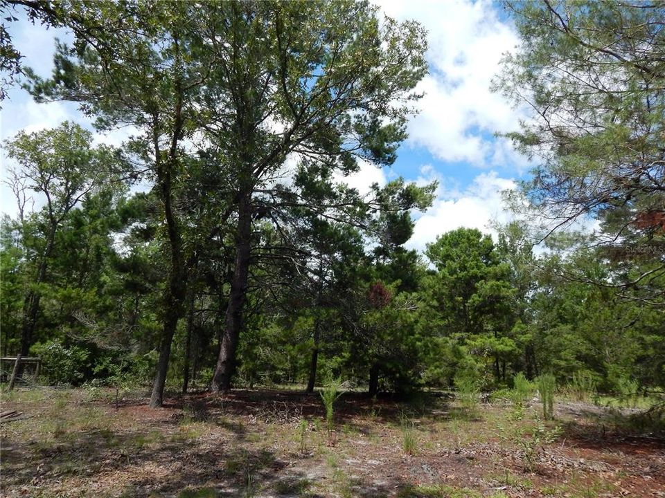 待售: $249,900 (3 贝兹, 3 浴室, 1960 平方英尺)