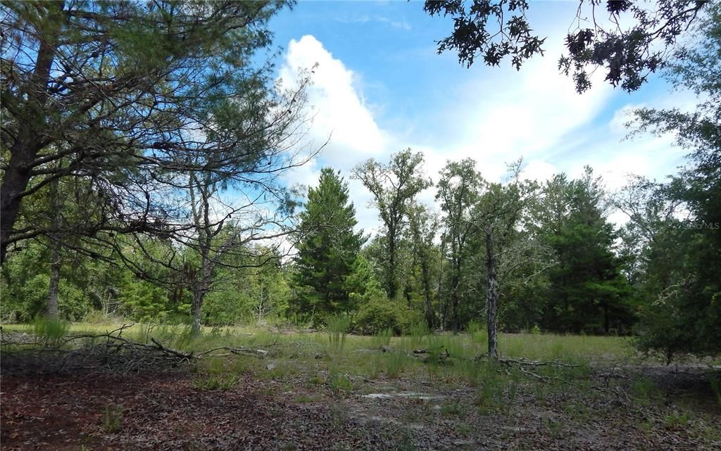 待售: $249,900 (3 贝兹, 3 浴室, 1960 平方英尺)