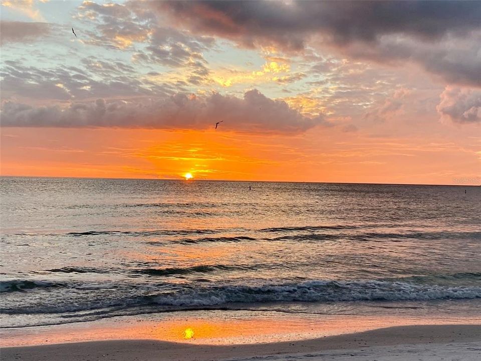 合同活跃: $849,900 (3 贝兹, 3 浴室, 1585 平方英尺)