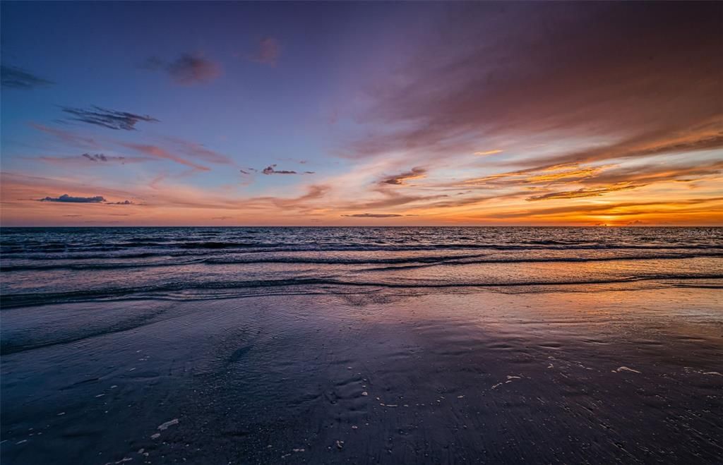 待售: $7,995,000 (5 贝兹, 5 浴室, 4356 平方英尺)