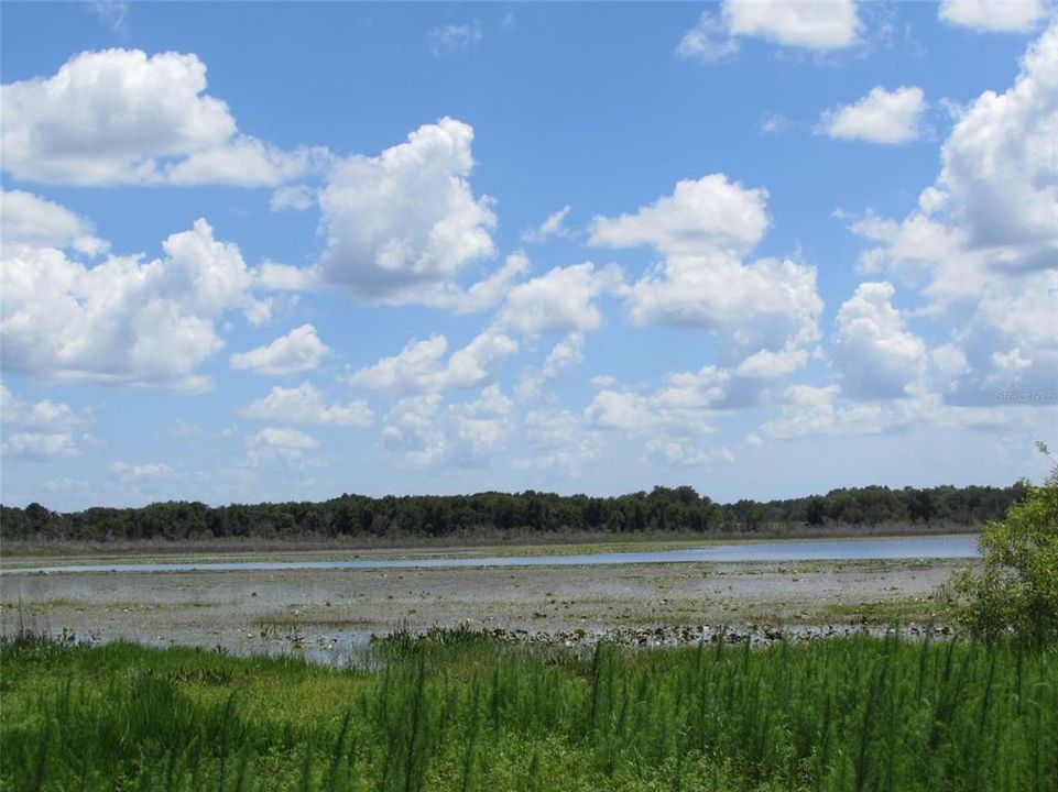 На продажу: $25,000 (0.24 acres)