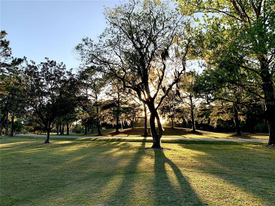 待售: $455,000 (4 贝兹, 3 浴室, 2381 平方英尺)