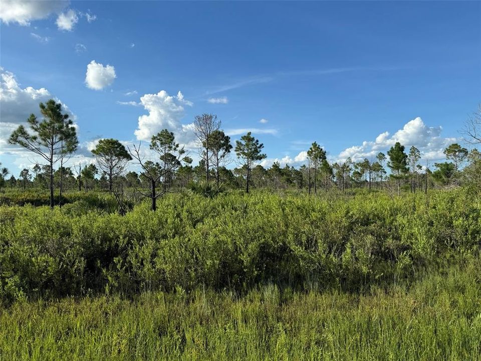 Vendido Recientemente: $29,900 (1.50 acres)