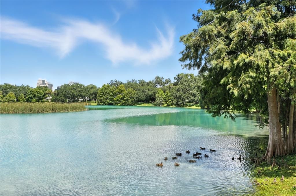 For Sale: $159,900 (1 beds, 1 baths, 550 Square Feet)