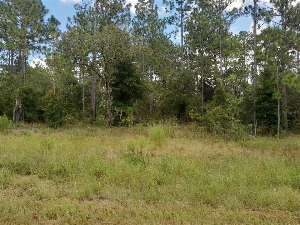 На продажу: $17,000 (0.46 acres)