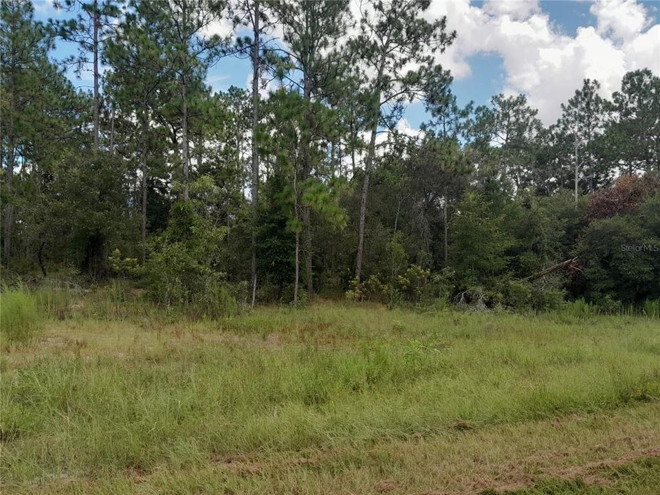 На продажу: $17,000 (0.46 acres)