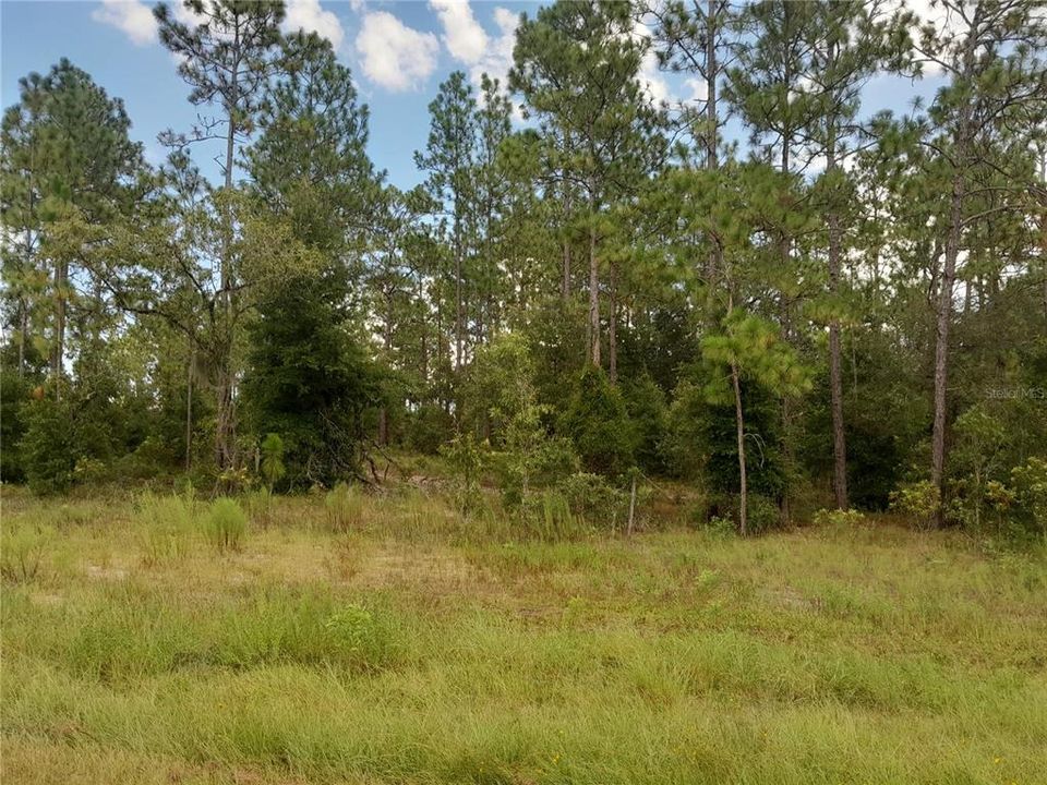 На продажу: $17,000 (0.46 acres)