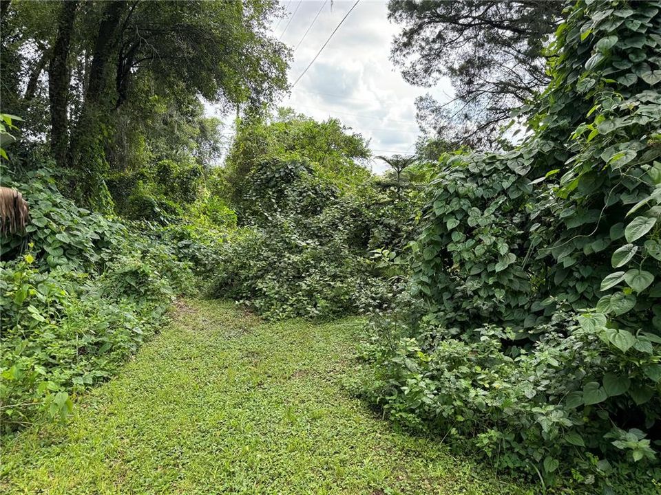 合同活跃: $450,000 (2 贝兹, 1 浴室, 1176 平方英尺)