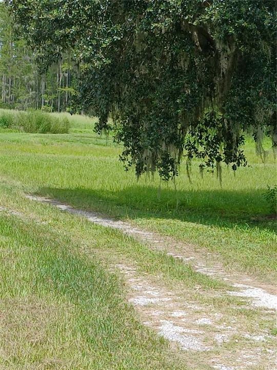 合同活跃: $599,000 (3 贝兹, 2 浴室, 2188 平方英尺)