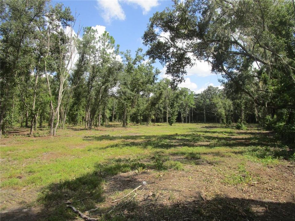 For Sale: $194,800 (1.21 acres)