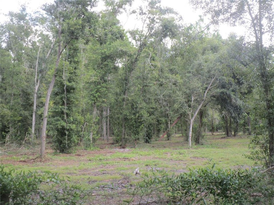 For Sale: $194,800 (1.21 acres)