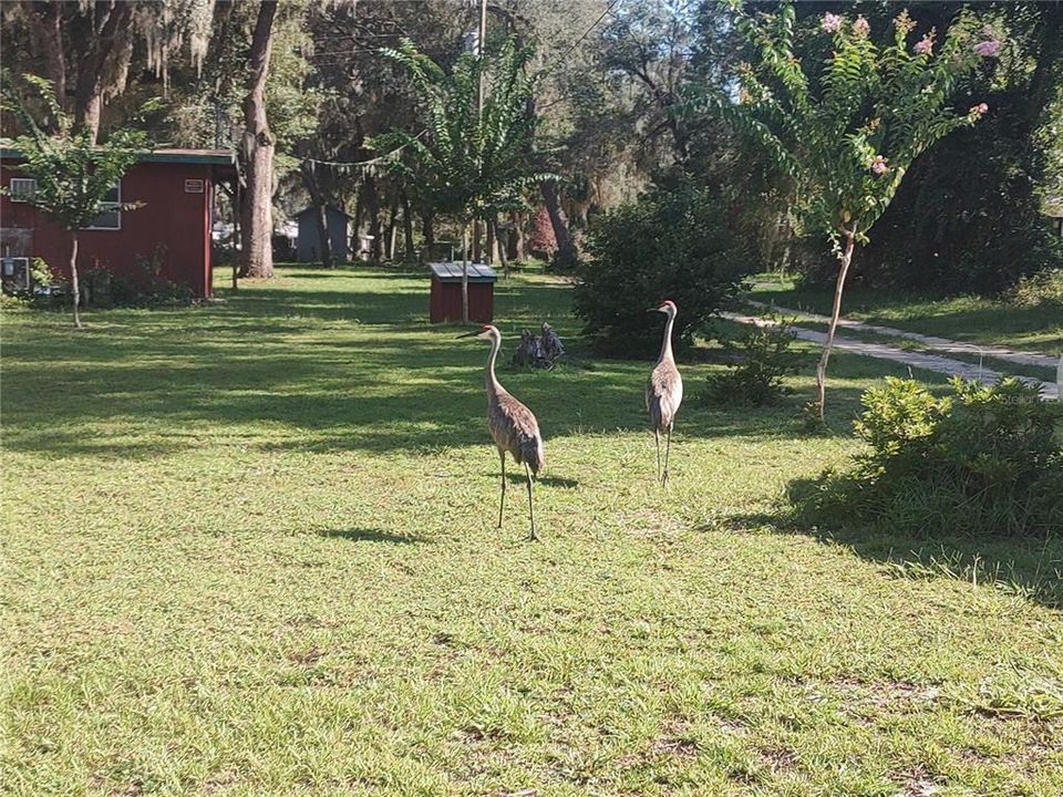 For Sale: $185,000 (2 beds, 1 baths, 1064 Square Feet)