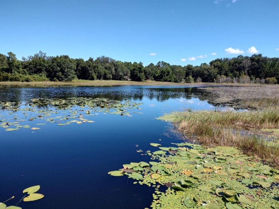 For Sale: $185,000 (2 beds, 1 baths, 1064 Square Feet)