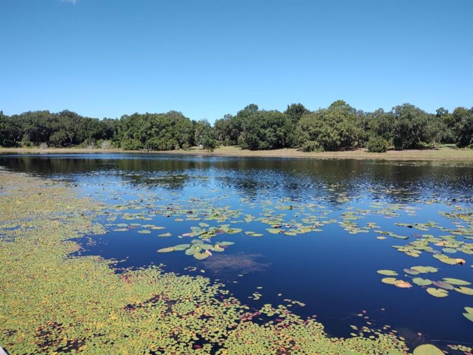 For Sale: $185,000 (2 beds, 1 baths, 1064 Square Feet)