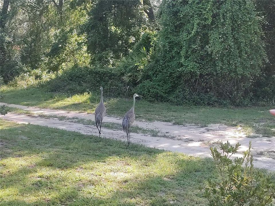 For Sale: $185,000 (2 beds, 1 baths, 1064 Square Feet)