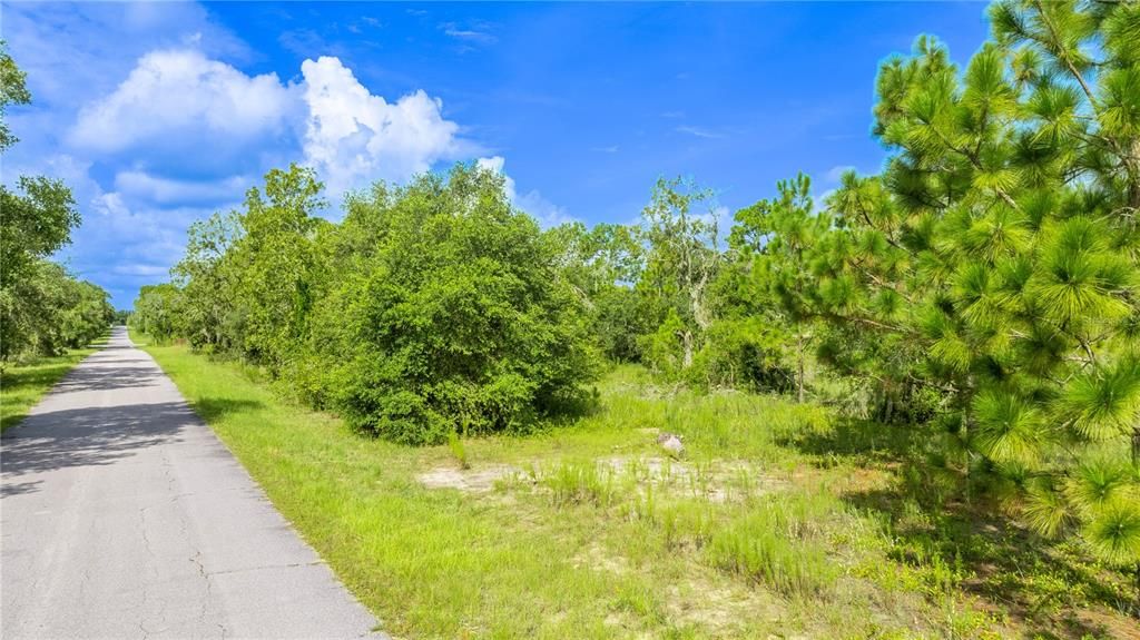 Под контрактом: $40,000 (1.06 acres)