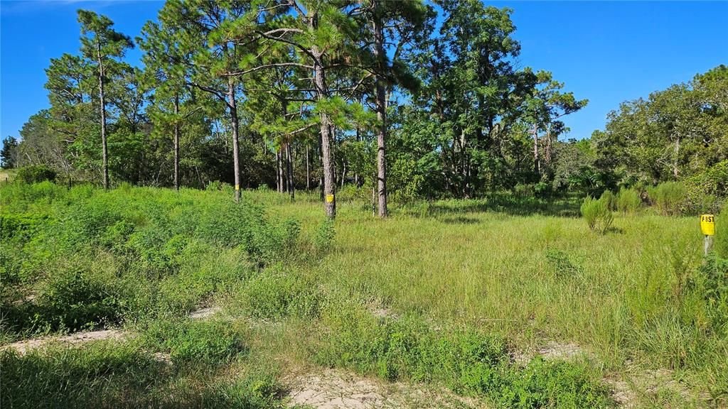 Recently Sold: $24,900 (0.93 acres)