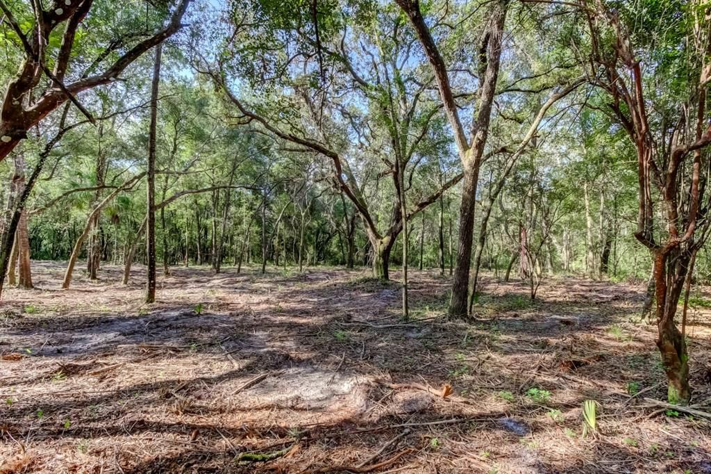 For Sale: $147,000 (2.01 acres)