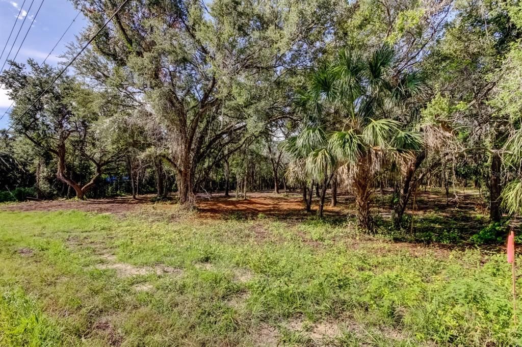 For Sale: $147,000 (2.01 acres)