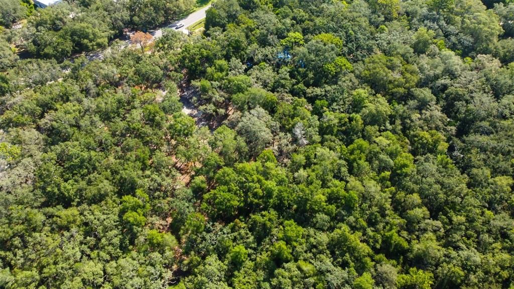 For Sale: $147,000 (2.01 acres)